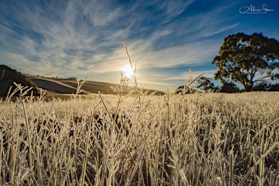 Image: Frost at Pykes Creek Reservoir, 1 July 2017. Credit: Adam Stan Photography